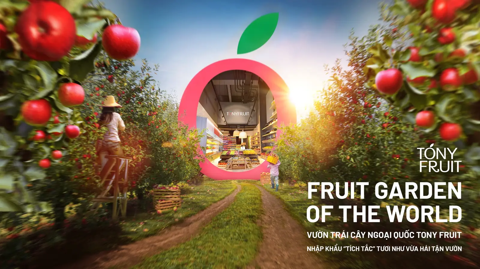 Key visual — the Ó opened onto a lit orchard, a picker walking the row, wordmark at the right