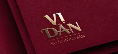 Vi Dan